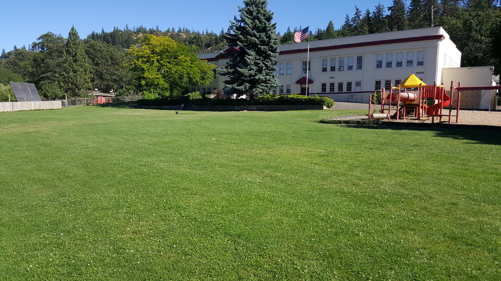 Salmon Creek Estate Design Build Landscapes w/BEFORE PHOTOS