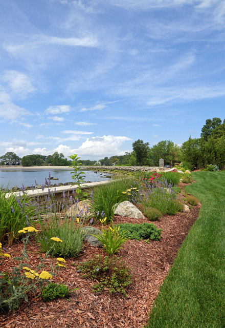 Salt-tolerant perennial flower garden - Traditional - Garden - New York ...