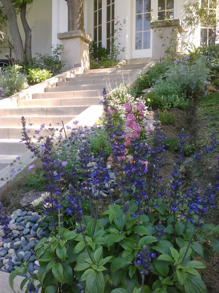 Inspiration for a contemporary landscaping in Los Angeles.