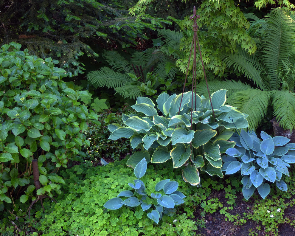 Mittelgroßer, Schattiger Moderner Garten im Sommer, hinter dem Haus in Seattle