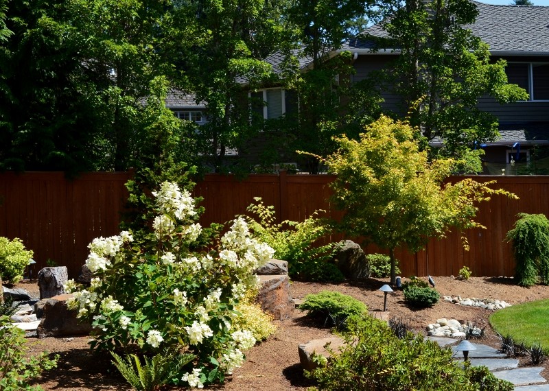 Immagine di un giardino eclettico esposto in pieno sole di medie dimensioni e dietro casa con pavimentazioni in pietra naturale
