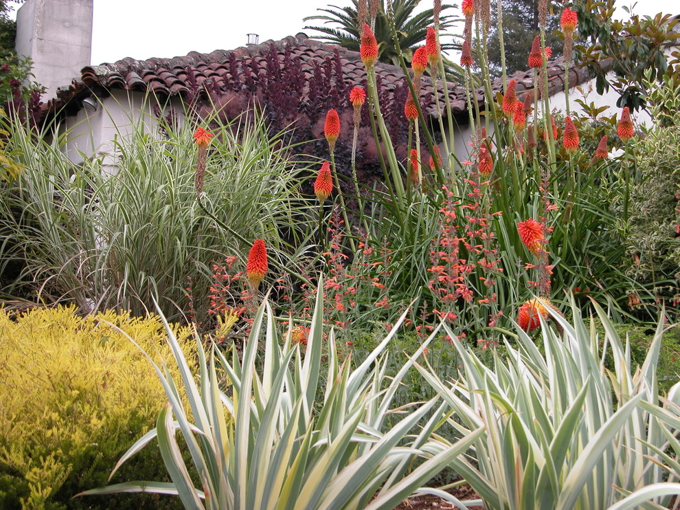 Photo of a mid-sized mediterranean full sun front yard garden path in San Francisco for fall.