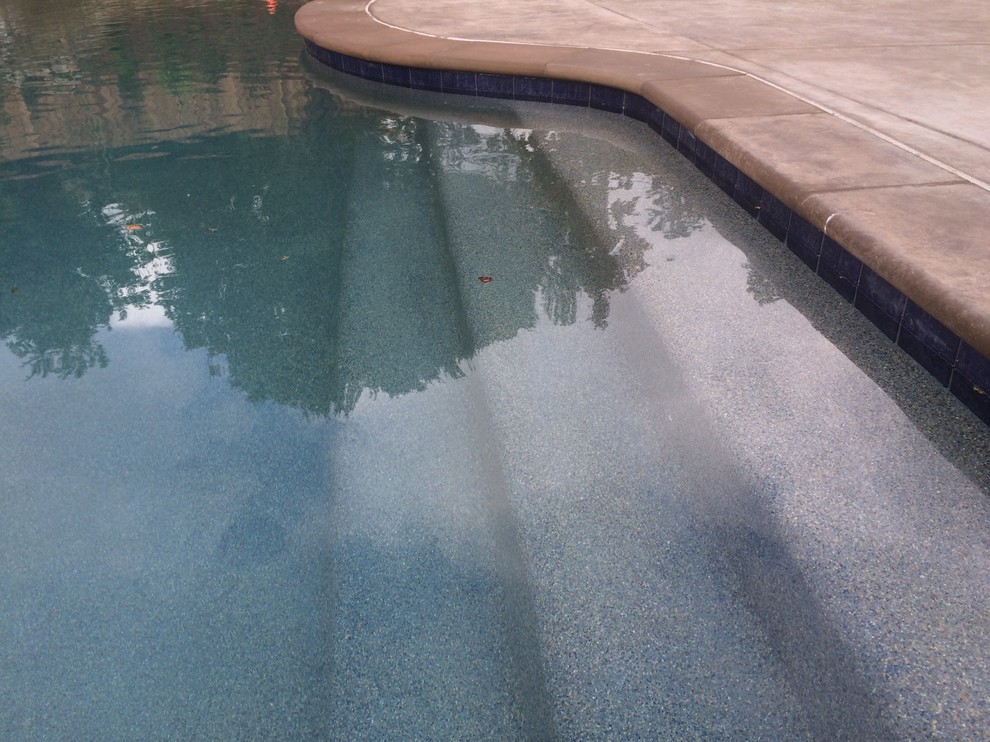 San Anselmo / Sleepy Hollow casual Traditional Pool San Francisco
