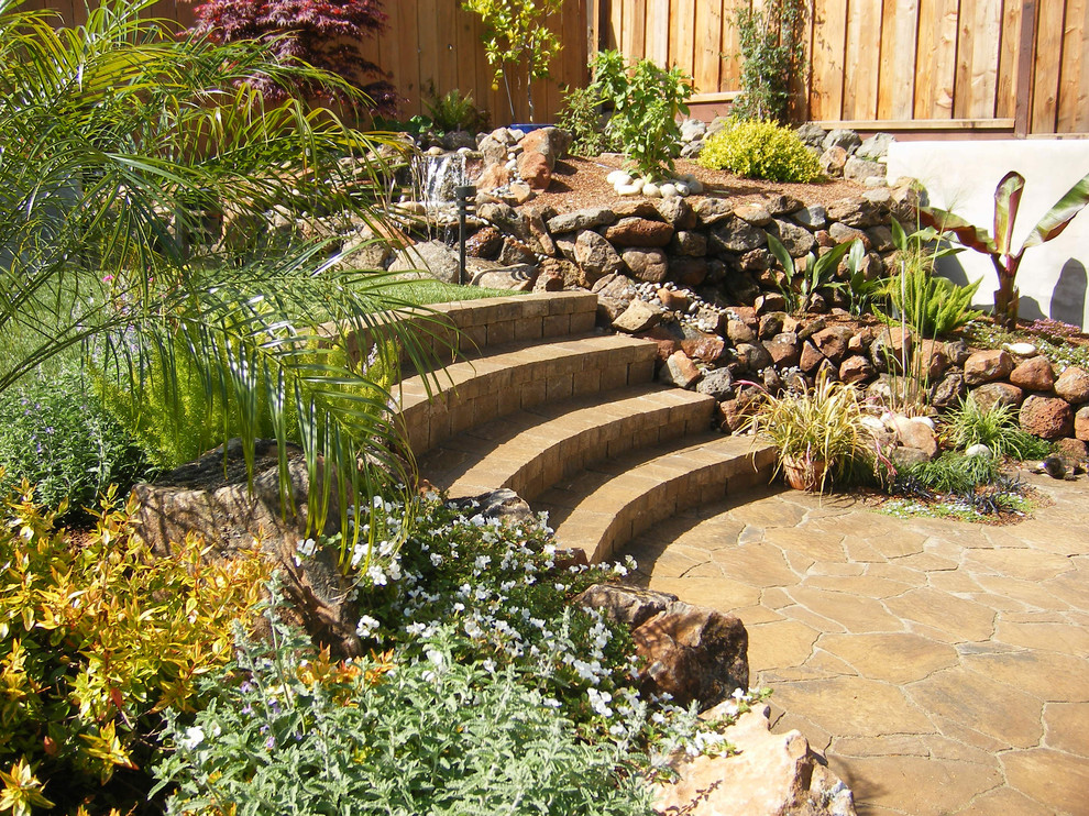 Inspiration for a tropical retaining wall landscape in San Francisco.