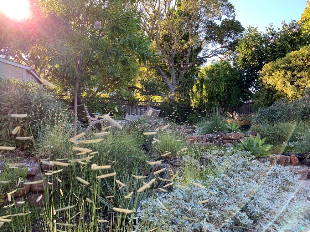 Foto de jardín de secano rural de tamaño medio en primavera en patio trasero con exposición total al sol