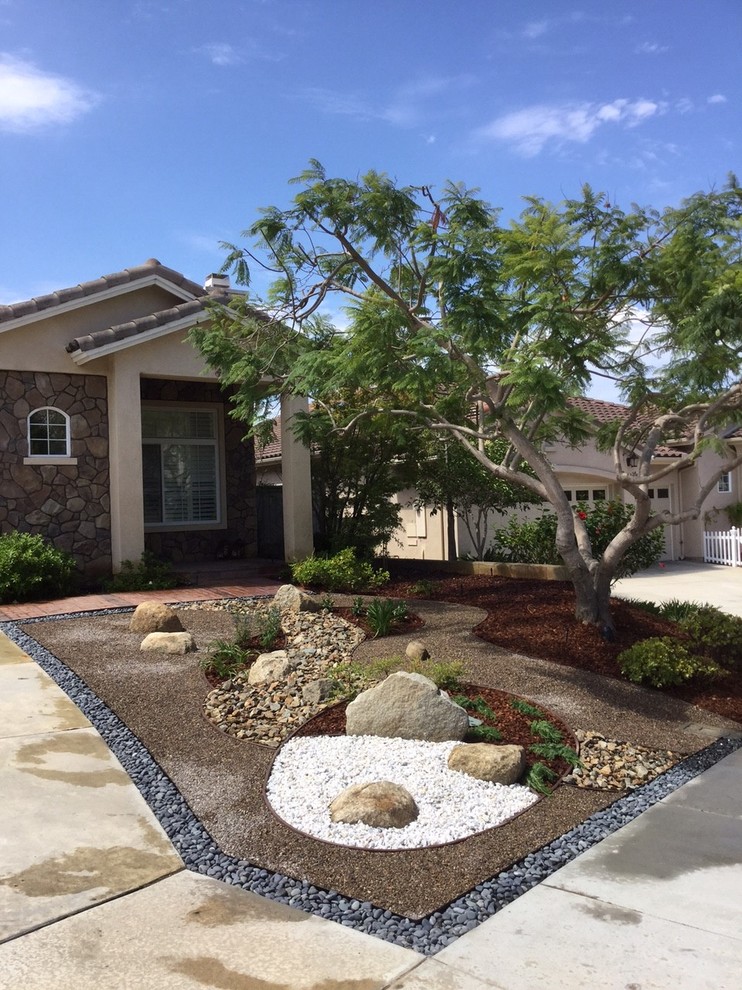 San Diego Drought Tolerant Front Yard by Modern Zen Garden