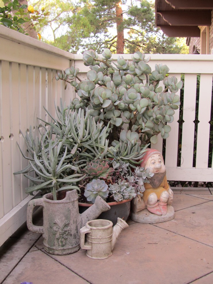 Kleiner, Halbschattiger Klassischer Vorgarten mit Kübelpflanzen und Natursteinplatten in San Diego