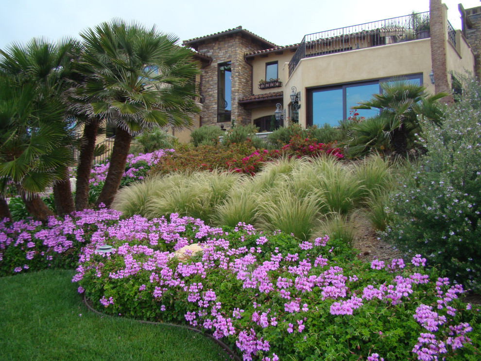 Großer Maritimer Hanggarten im Frühling mit Blumenbeet, direkter Sonneneinstrahlung und Natursteinplatten in San Diego