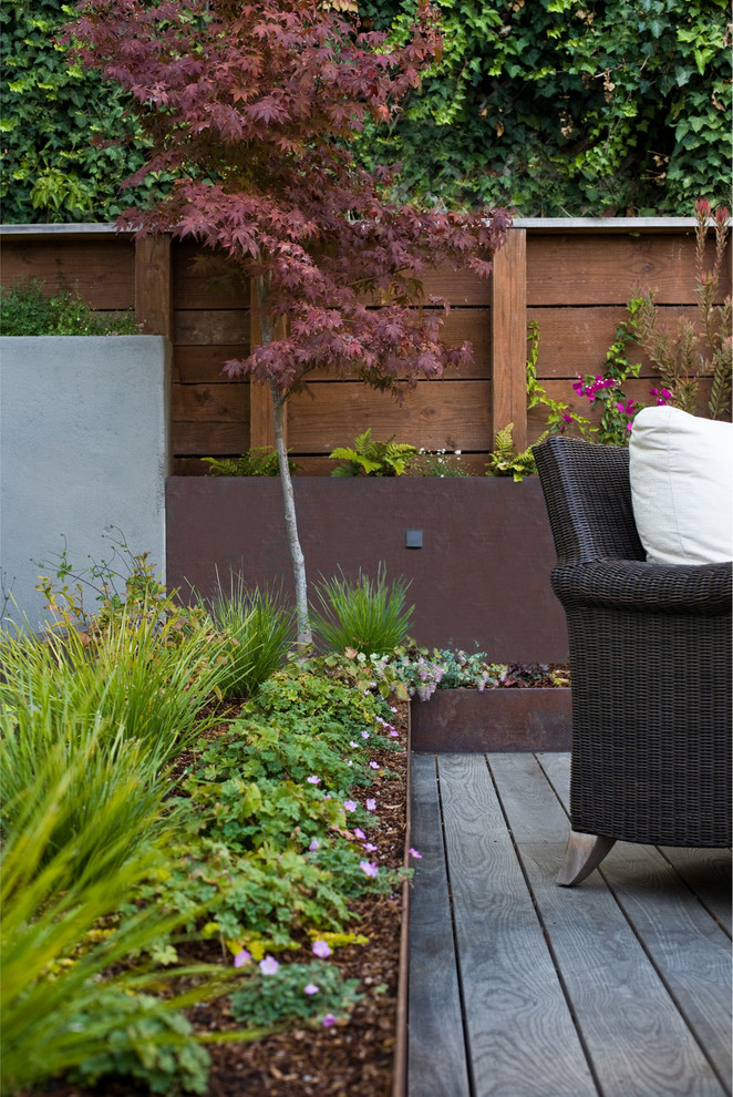 Ispirazione per un giardino minimalista in cortile