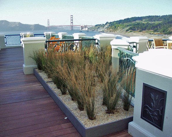 This is an example of a medium sized nautical roof xeriscape full sun garden for winter in San Francisco with decking and a potted garden.