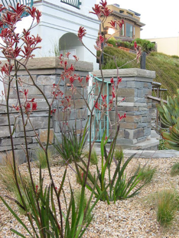 Foto di un giardino xeriscape stile marinaro esposto in pieno sole di medie dimensioni in inverno con un pendio, una collina o una riva, ghiaia e un muro di contenimento