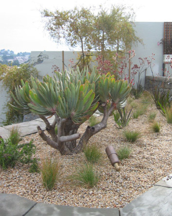 Ispirazione per un giardino xeriscape stile marinaro esposto in pieno sole di medie dimensioni e dietro casa in inverno con un ingresso o sentiero e ghiaia