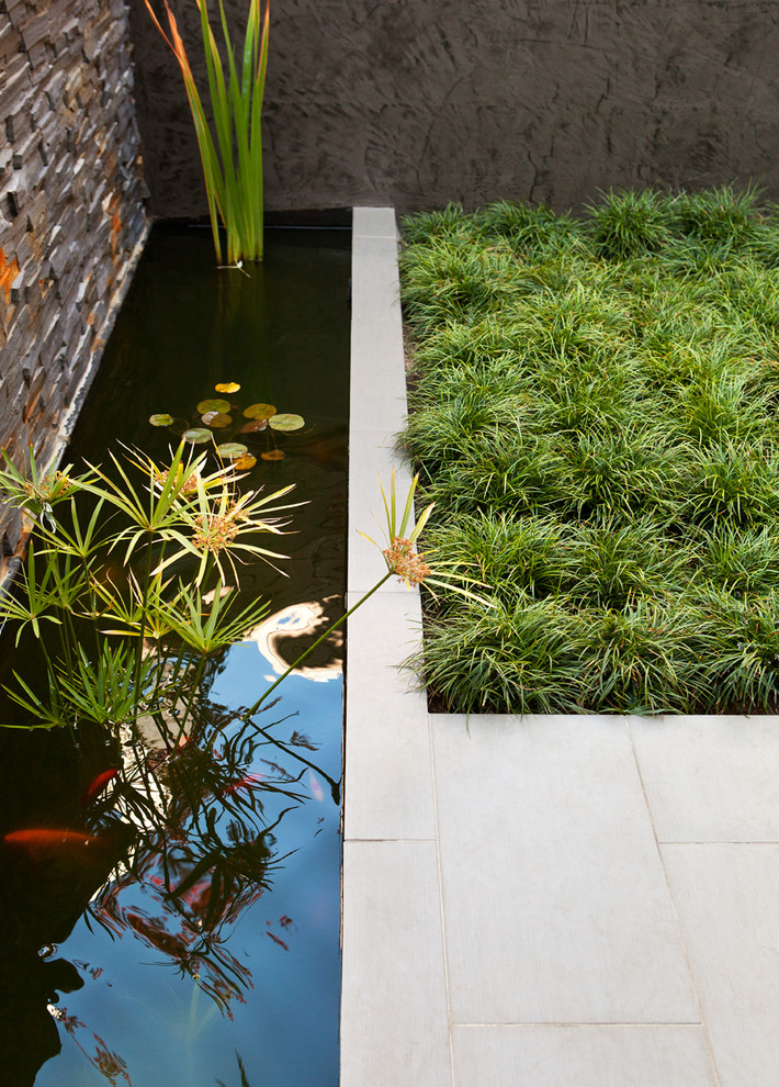 Exemple d'un grand jardin à la française arrière asiatique avec un point d'eau.