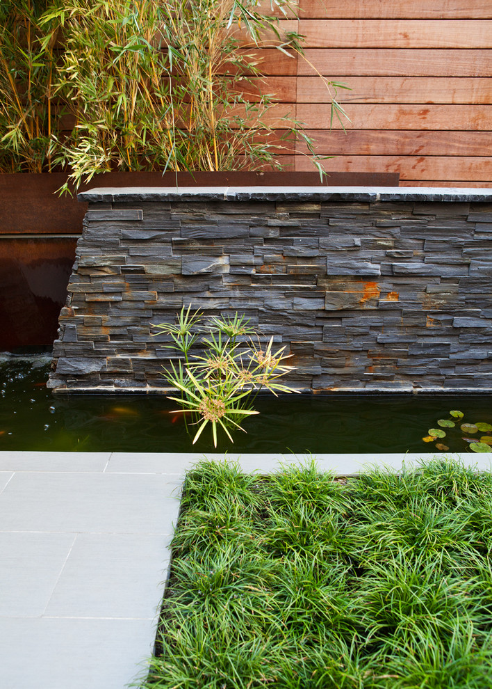 Inspiration for a large asian backyard landscaping in San Francisco.