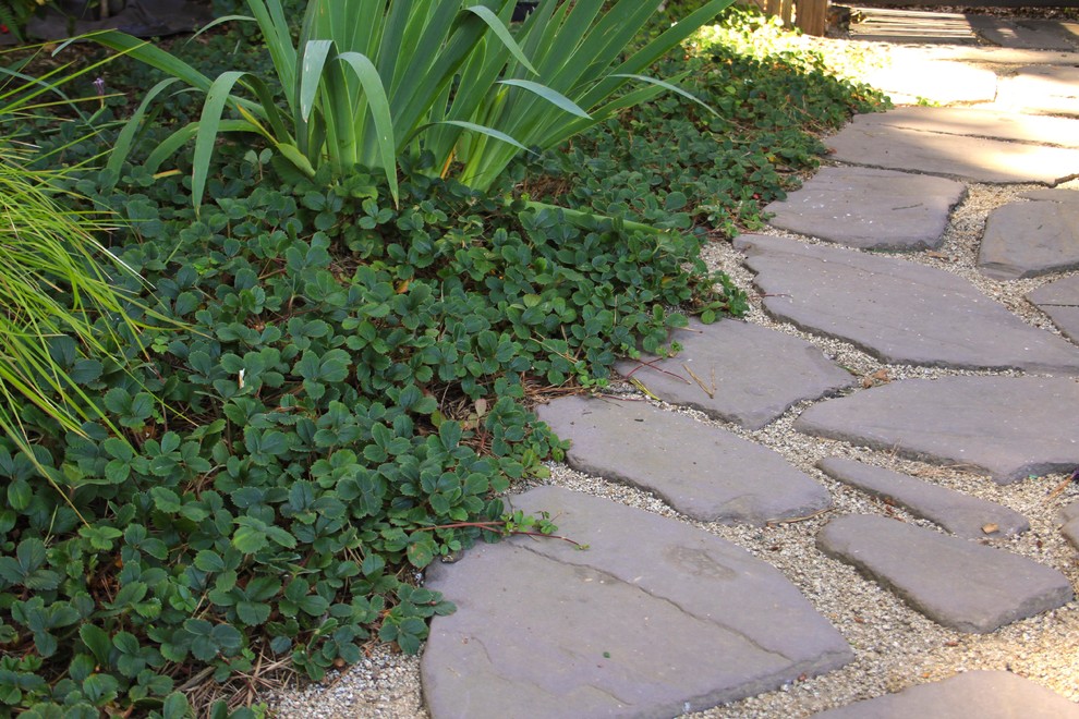 Kleiner, Schattiger Rustikaler Gartenweg im Winter, hinter dem Haus mit Natursteinplatten in San Francisco