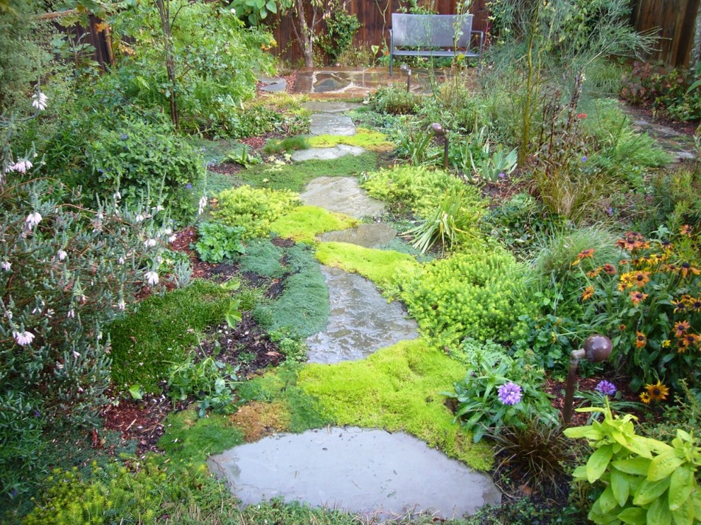 Moderner Garten hinter dem Haus in San Francisco