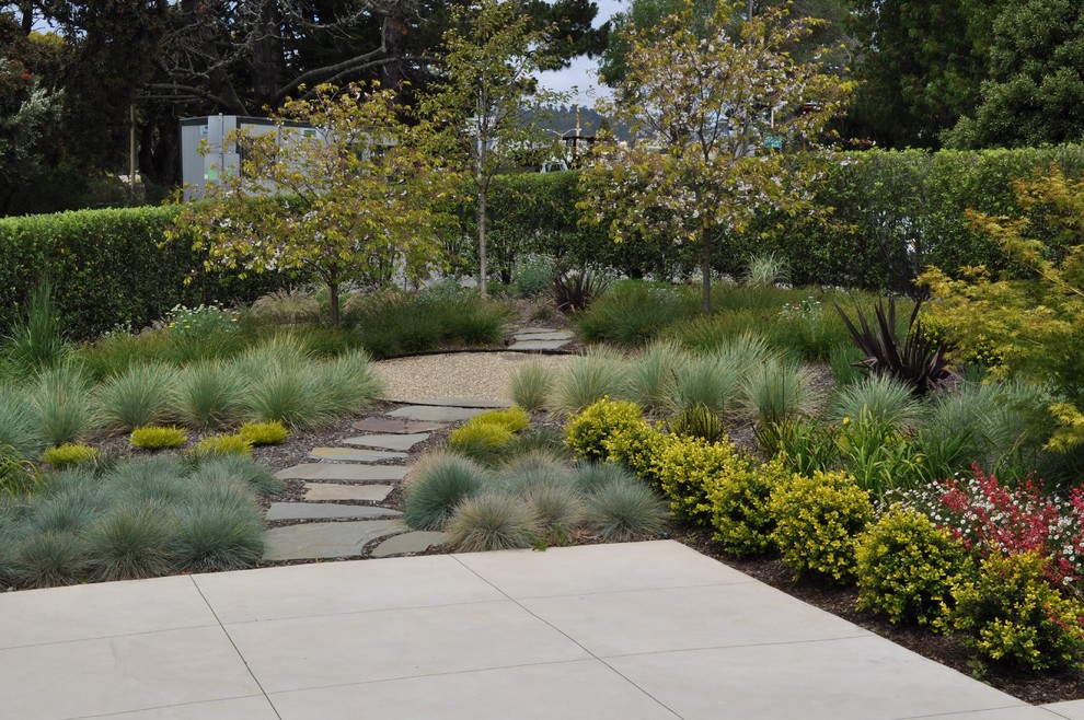 Идея дизайна: участок и сад на заднем дворе в современном стиле