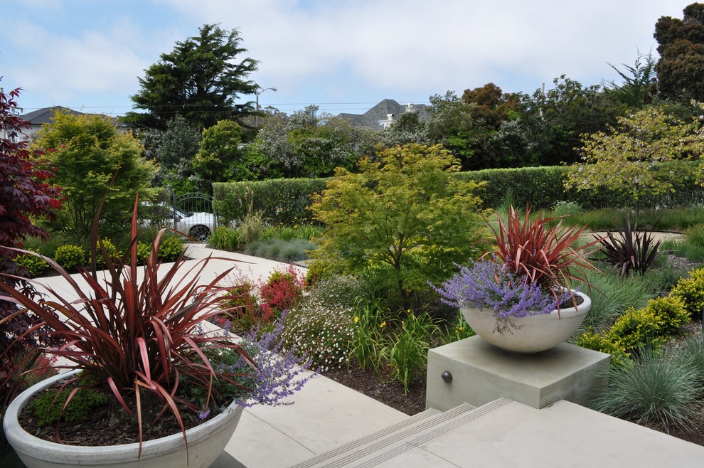 Inspiration for a contemporary front garden steps in San Francisco.