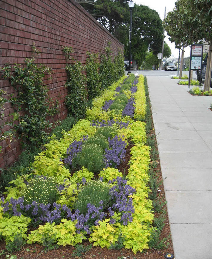 This is an example of a landscaping in San Francisco.