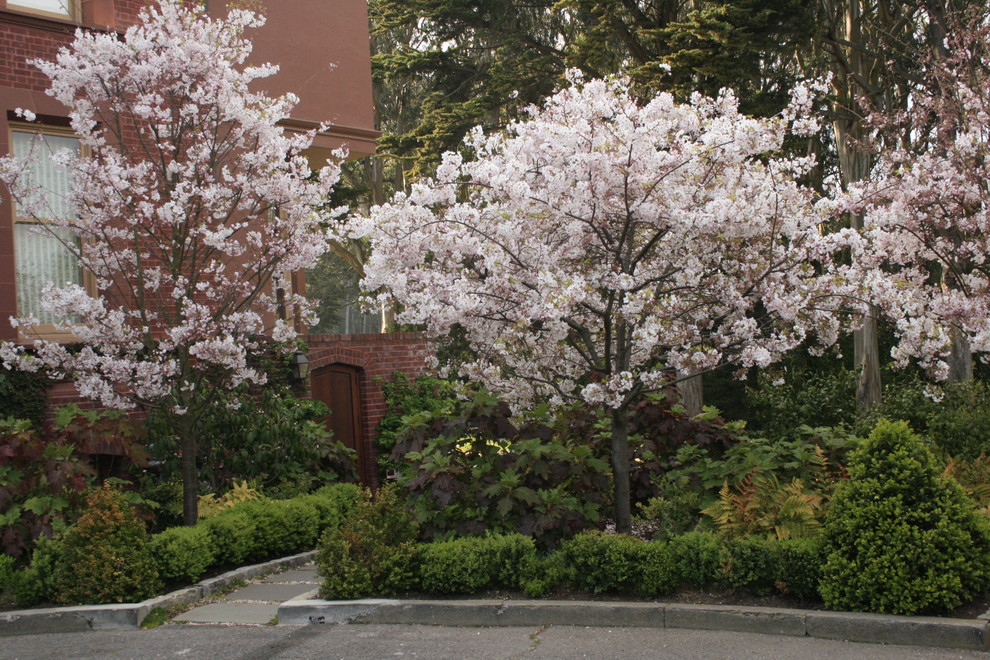 Photo of a classic garden in San Francisco.