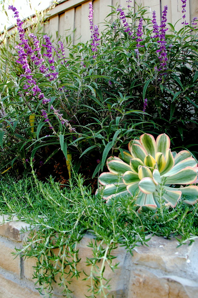 San Juan Craftsman Craftsman Landscape Orange County by Living