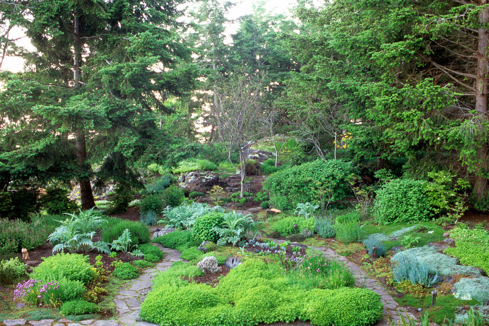 Design ideas for a classic back garden in Seattle.