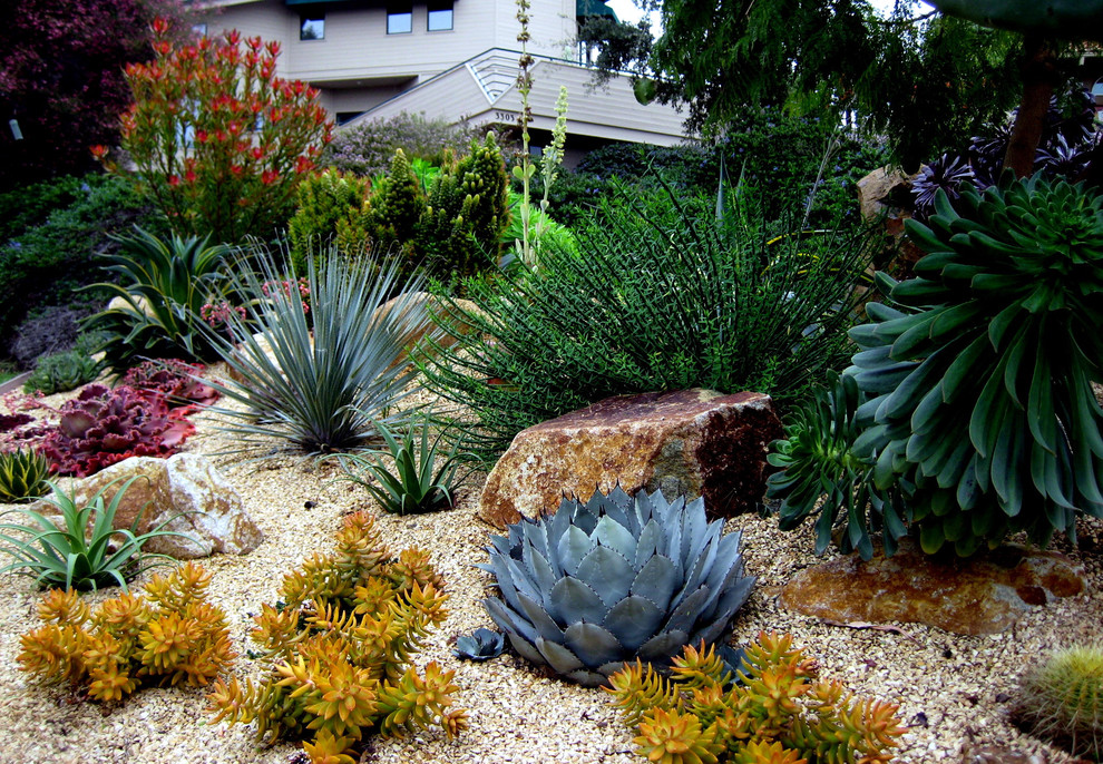 Inspiration for a mediterranean gravel landscaping in San Luis Obispo.