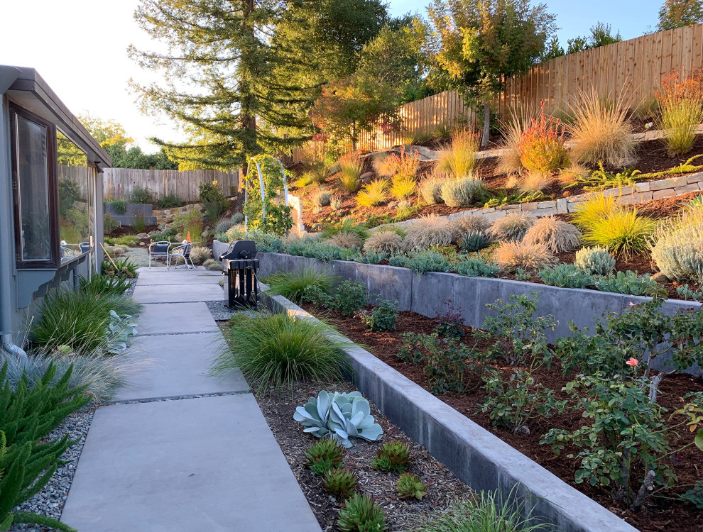 Свежая идея для дизайна: огромный солнечный, весенний засухоустойчивый сад на заднем дворе в стиле ретро с подпорной стенкой и хорошей освещенностью - отличное фото интерьера