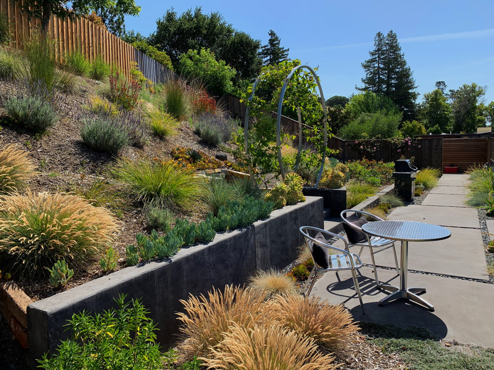 Свежая идея для дизайна: огромный солнечный, летний засухоустойчивый сад на склоне в стиле ретро с с перголой, хорошей освещенностью, мощением тротуарной плиткой и с деревянным забором - отличное фото интерьера