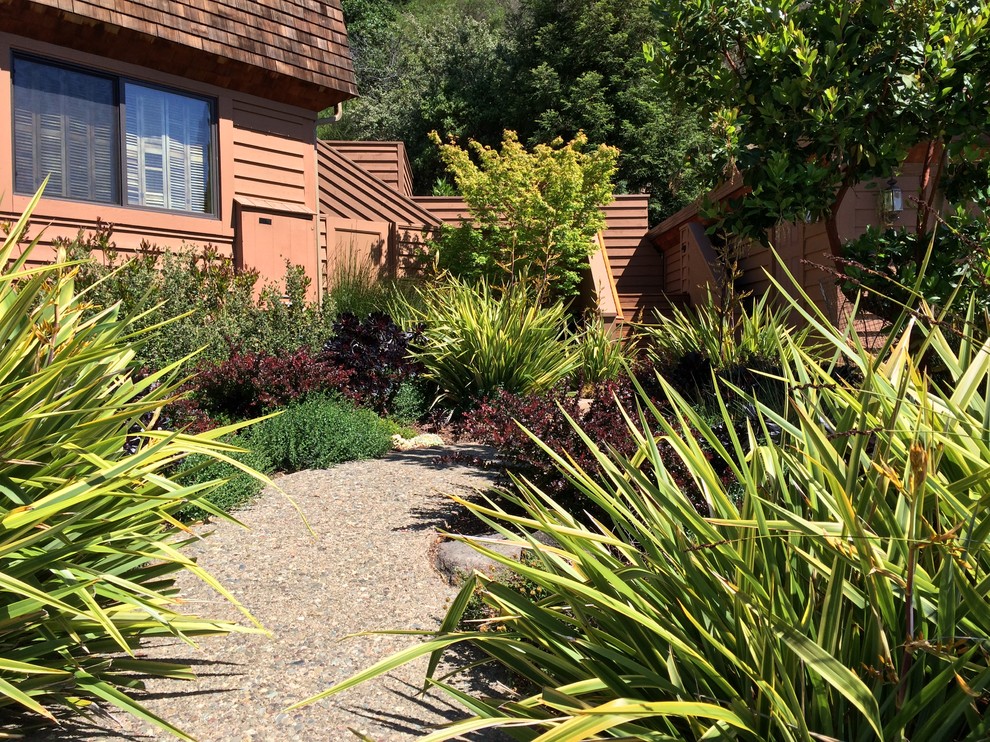 Photo of a mid-sized transitional full sun front yard concrete paver garden path in San Francisco for fall.