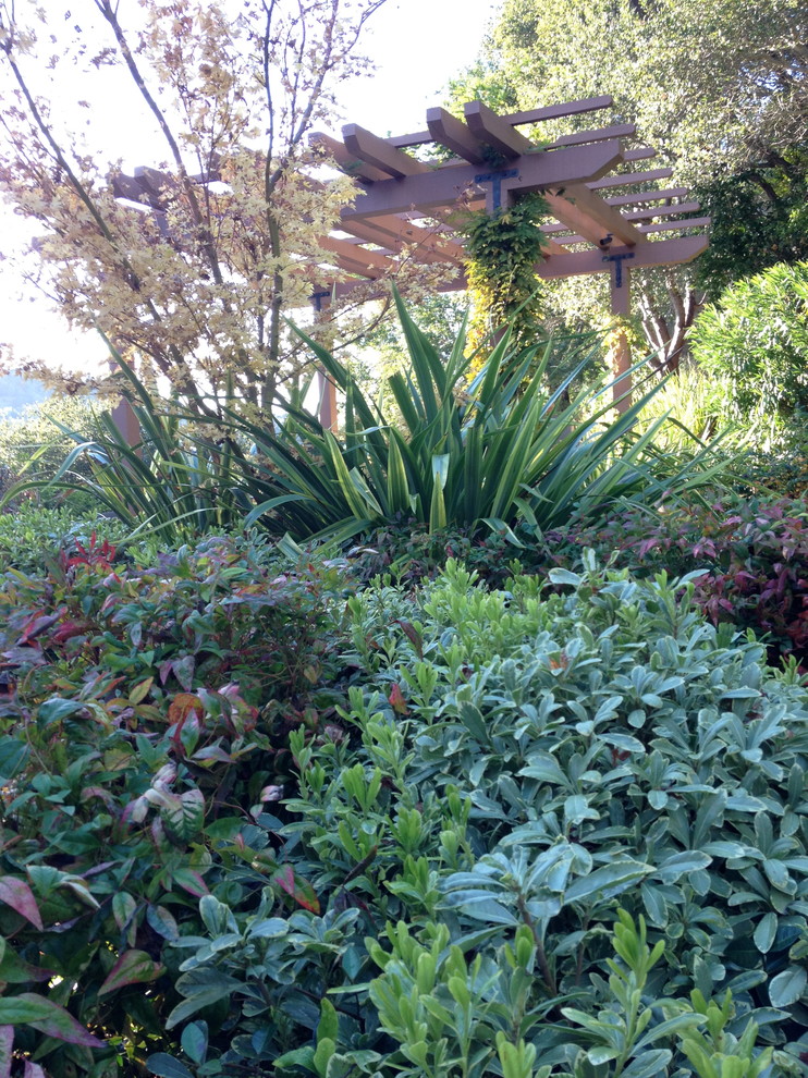 На фото: солнечный, осенний участок и сад среднего размера на заднем дворе в классическом стиле с хорошей освещенностью и мощением тротуарной плиткой