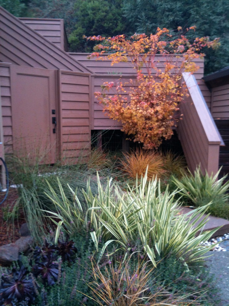 Medium sized traditional front full sun garden for autumn in San Francisco with a garden path and concrete paving.