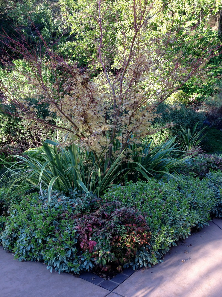 Ejemplo de camino de jardín tradicional de tamaño medio en otoño en patio trasero con exposición parcial al sol y adoquines de hormigón