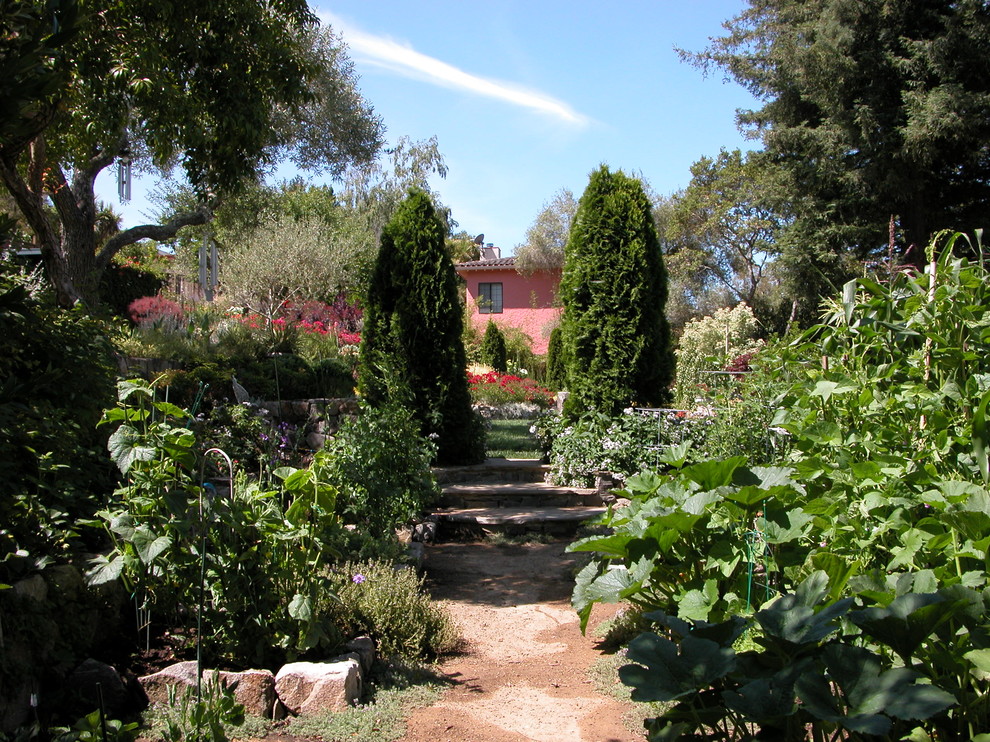 Стильный дизайн: огород на участке среднего размера на заднем дворе в средиземноморском стиле с покрытием из гравия - последний тренд