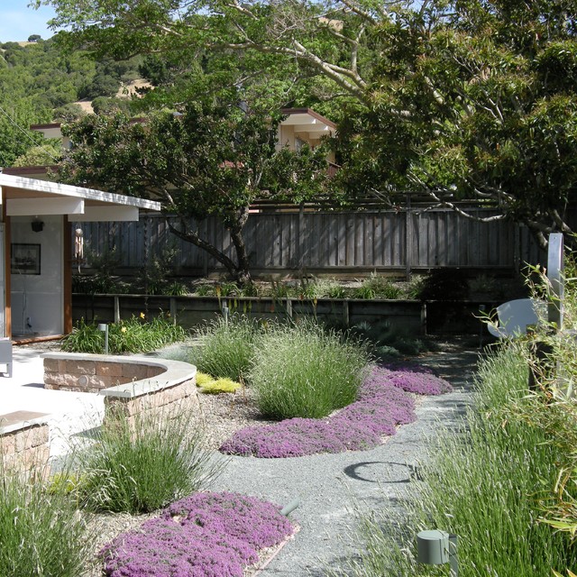 San Rafael Modern Eichler Moderne Jardin San Francisco Par O Connell Landscape Houzz