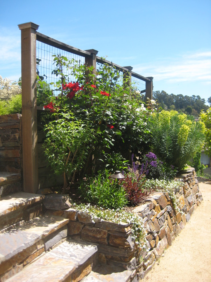 This is an example of a mid-sized mediterranean backyard mulch retaining wall landscape in San Francisco.