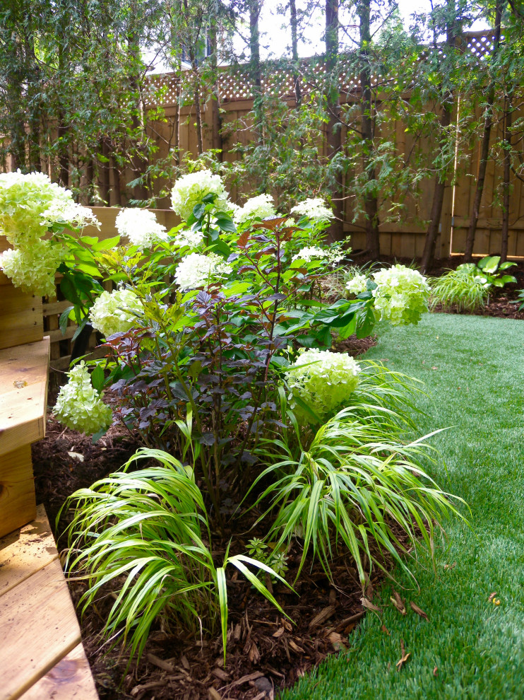 Réalisation d'un petit jardin arrière design l'été avec une bordure et une exposition partiellement ombragée.