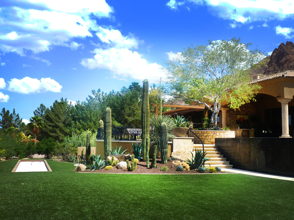 Design ideas for a mediterranean garden in Phoenix.
