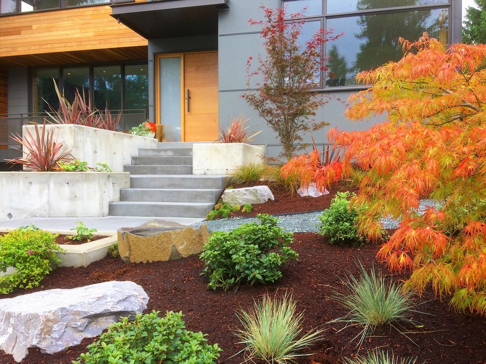 This is an example of a contemporary front yard landscaping in Seattle.
