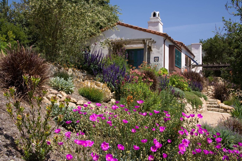 Medelhavsstil inredning av en formell trädgård i full sol längs med huset