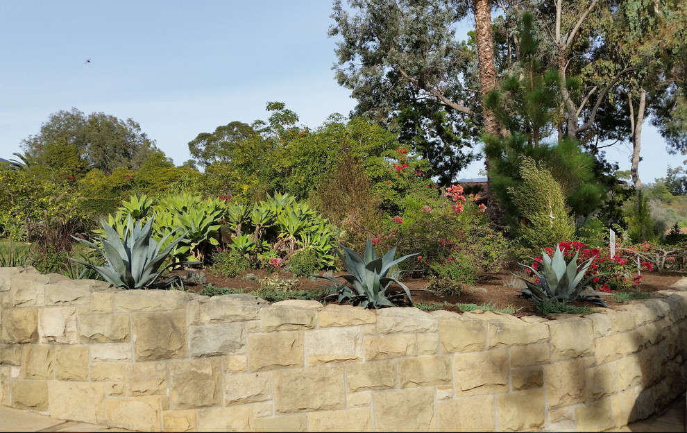 Großer Mediterraner Garten im Frühling mit direkter Sonneneinstrahlung und Mulch in Orange County