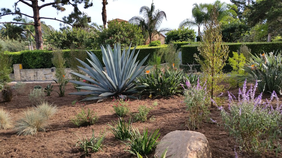 Großer Mediterraner Garten im Sommer mit direkter Sonneneinstrahlung und Mulch in Orange County