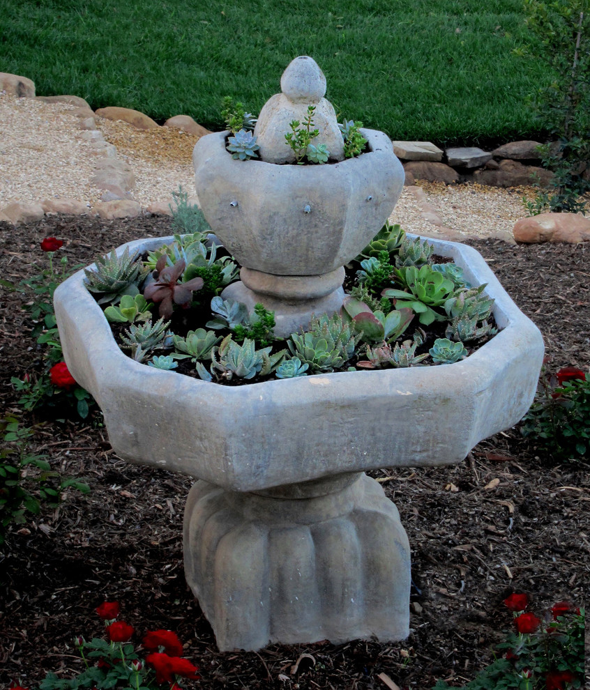 Esempio di un giardino xeriscape mediterraneo esposto in pieno sole di medie dimensioni e dietro casa in estate con un giardino in vaso e ghiaia