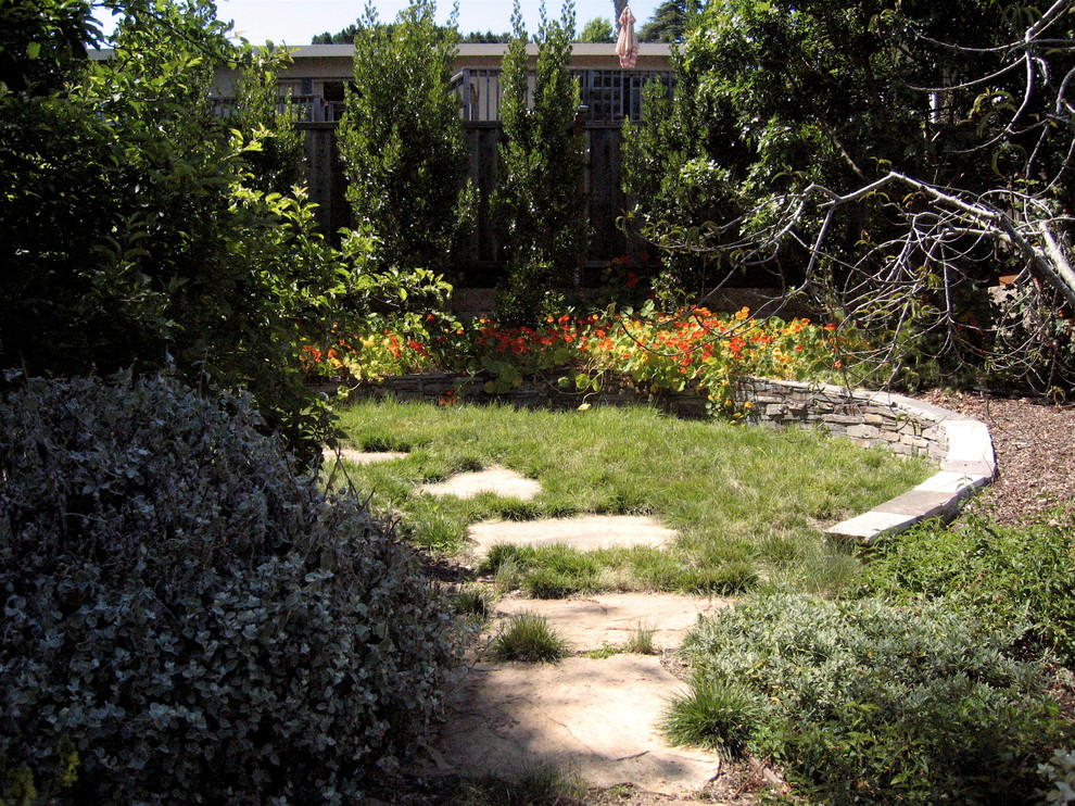 Foto di un piccolo giardino xeriscape design esposto in pieno sole dietro casa con un muro di contenimento e pavimentazioni in pietra naturale