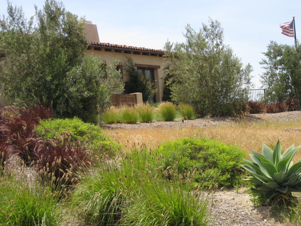 Mediterraner Garten hinter dem Haus mit direkter Sonneneinstrahlung in San Diego