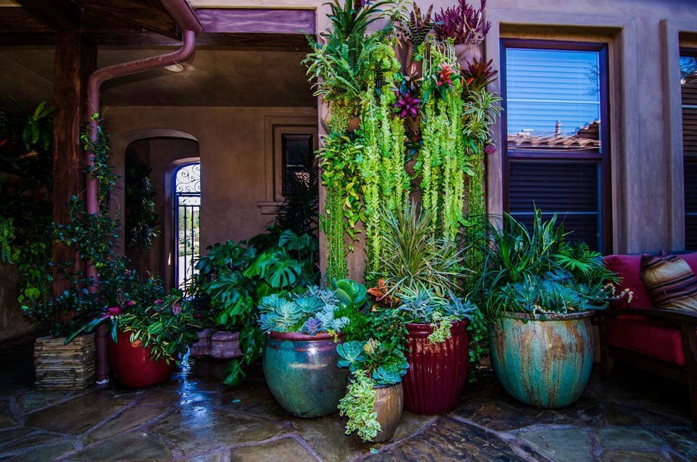 Santa Luz Mediterranean Landscape San Diego by Terra Bella