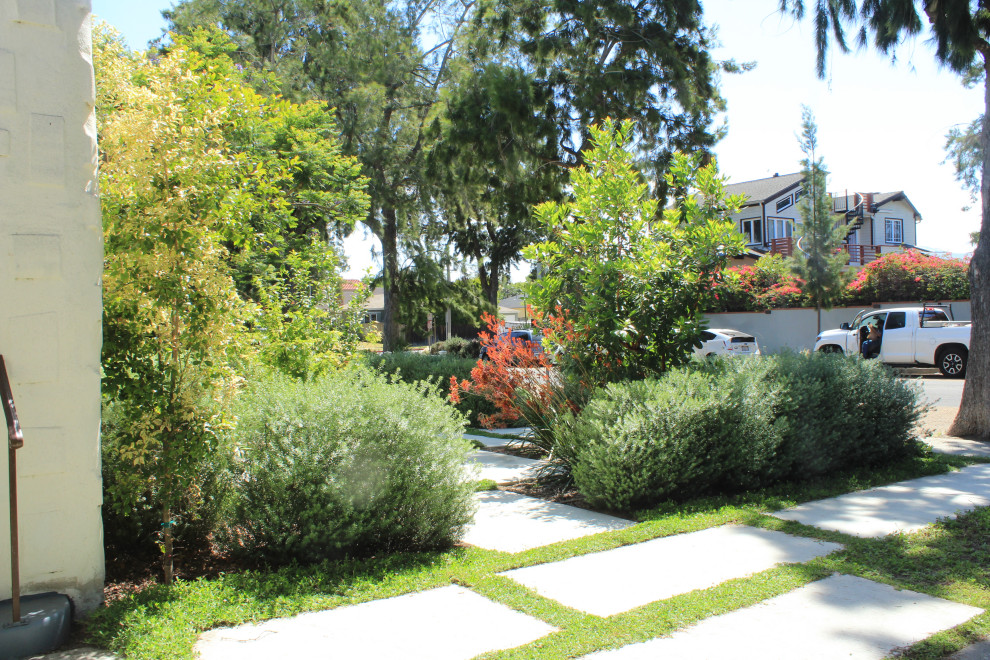 Idéer för att renovera en mellanstor medelhavsstil trädgård i delvis sol som tål torka och framför huset på våren, med en trädgårdsgång och marksten i betong