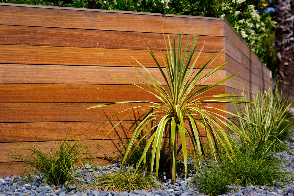Ejemplo de jardín minimalista de tamaño medio en verano en patio delantero con exposición total al sol
