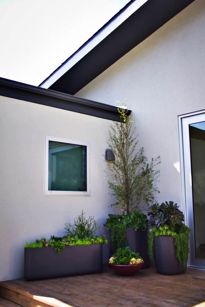 Idee per un giardino formale minimalista esposto in pieno sole di medie dimensioni e davanti casa in estate con un giardino in vaso e pedane