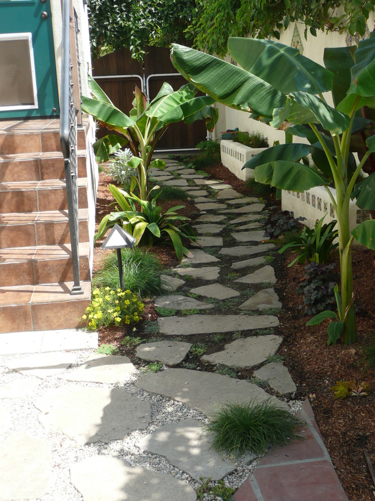 Idéer för tropiska trädgårdar längs med huset